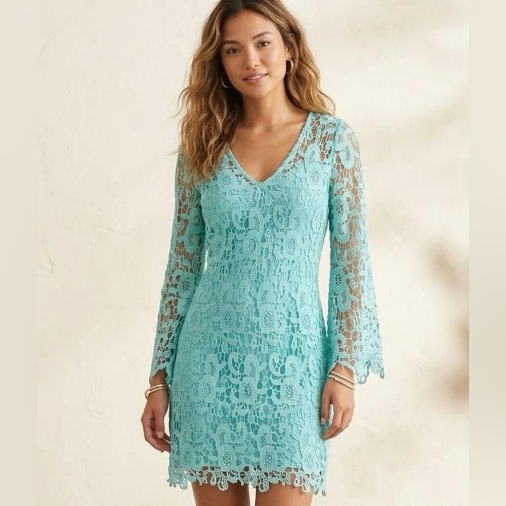 Boston Proper Light Aqua Lace Long-Sleeve V-Neck Dress (NWT)